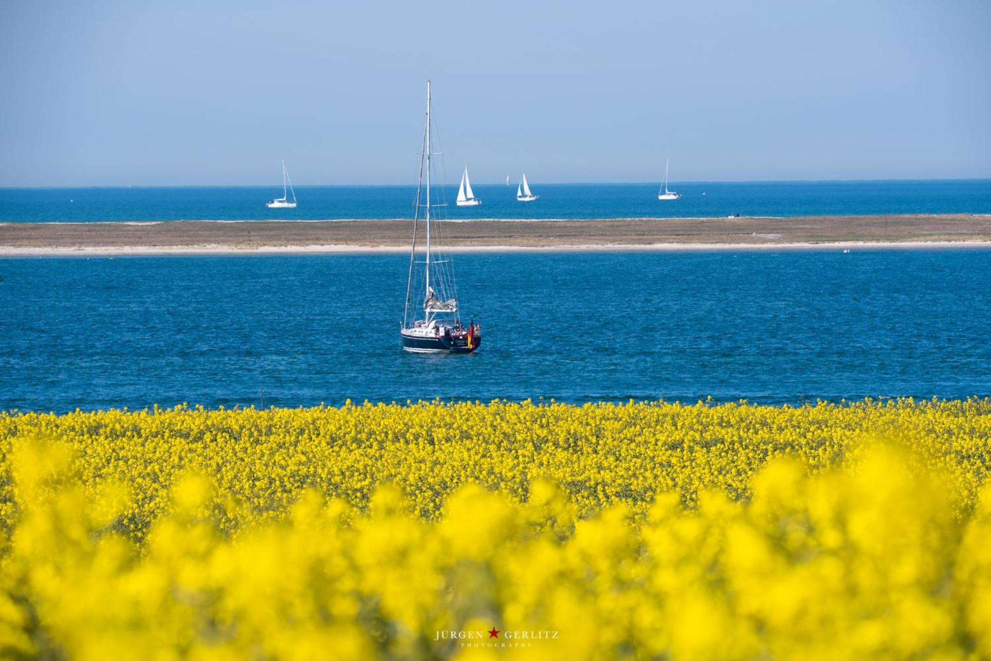 Urlaub Mit Ostseeblick, Schwimmbad, Sauna & Direkte Strandlage Kronsgaard 外观 照片