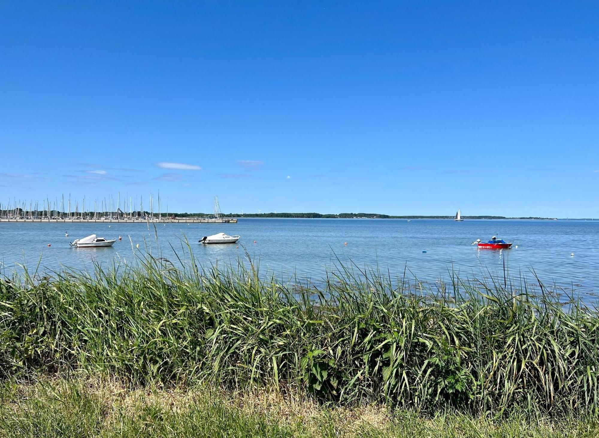 Urlaub Mit Ostseeblick, Schwimmbad, Sauna & Direkte Strandlage Kronsgaard 外观 照片